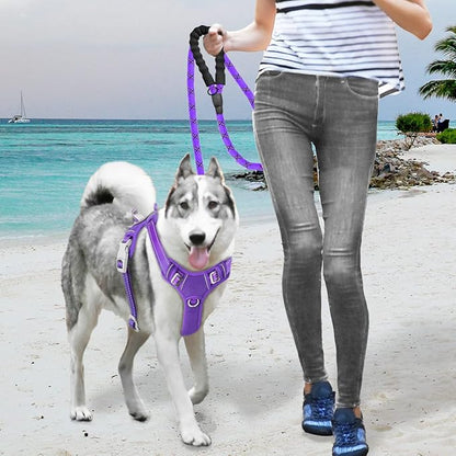 BARKBAY No Pull Dog Harness Large Step in Reflective Dog Harness with Front Clip and Easy Control Handle for Walking Training Running with ID tag Pocket(Purple