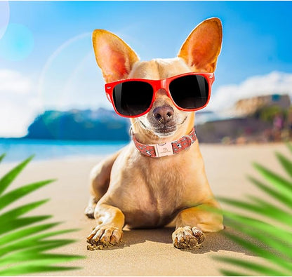 Lionheart glory Dog Collar Shark Print Bow Dog