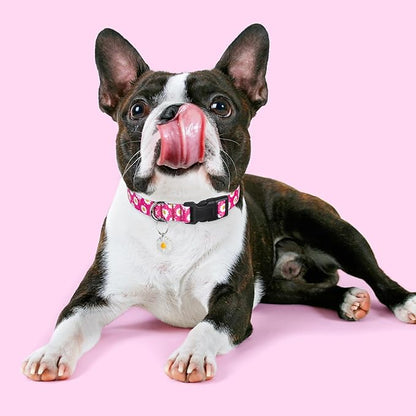 BiPawTi Floral Dog Collars for Medium Dog