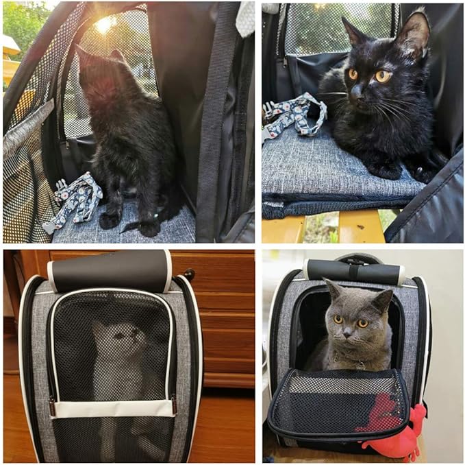 Texsens Pet Carrier Backpack with Window Blind for Small Cats Dogs, Ventilated Design, Safety Straps, Buckle Support, Collapsible, Designed for Travel, Hiking, Winter Outing, Outdoor, Go to Vet