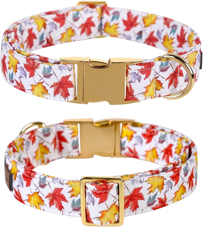 Lionet Paws Dog Collar with Bowtie 16-26in