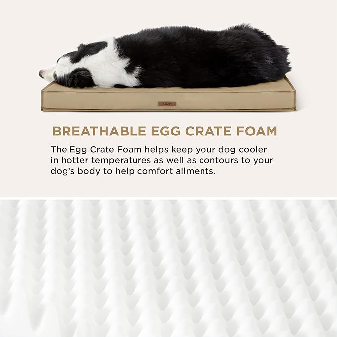 Lesure XL Waterproof Dog Beds