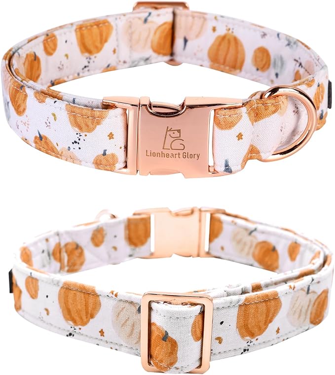 Lionheart glory Dog Collar Halloween Collar Dog Fall Dog Collars