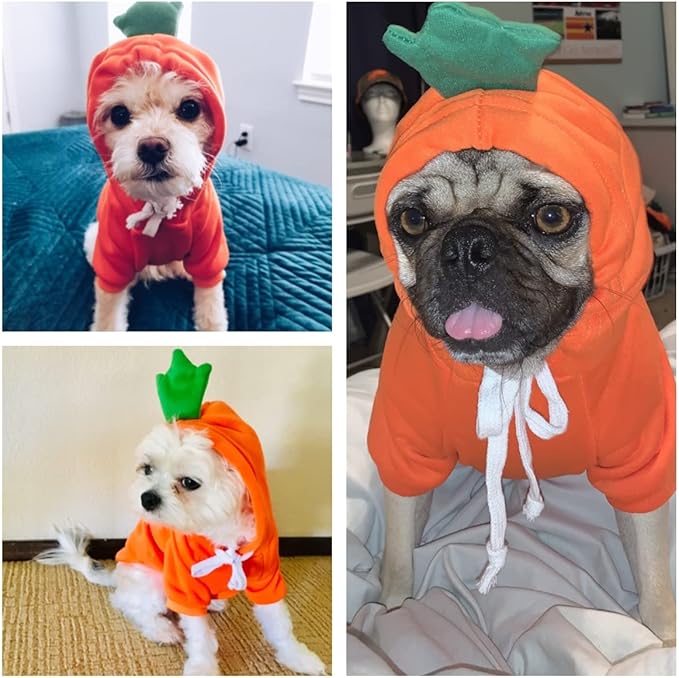 Dog Christmas Halloween Costumes,Dog Hoodies for Small Dogs Cats, Cat Puppy Outfits,Yorkie Chihuahua Pomeranian Clothes (Large, Orange-Carrot)