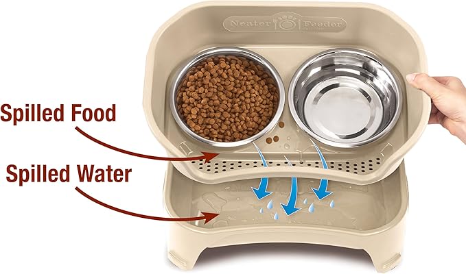 Neater Feeder - Express Model w/Slow Feed Bowl - Mess-Proof Dog Bowls (Small, Almond) Made in USA – Elevated, No Spill, Non-Tip, Non-Slip, Raised Stainless Steel Food/Water Pet Bowls Aid Digestion