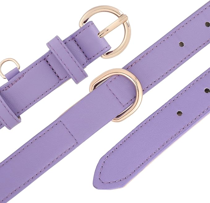 WHIPPY Soft Padded Leather Dog Collar for Small Medium Large Dogs Heavy Duty Dog Collar with Adjustable Rust-Proof Metal Hardware