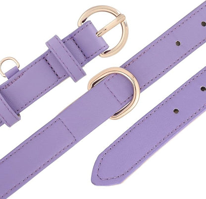 WHIPPY Soft Padded Leather Dog Collar for Small Medium Large Dogs Heavy Duty Dog Collar with Adjustable Rust-Proof Metal Hardware