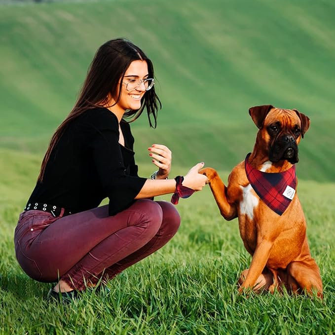 E-Clover Dog Bandanas Girl & Matching Scrunchie Set
