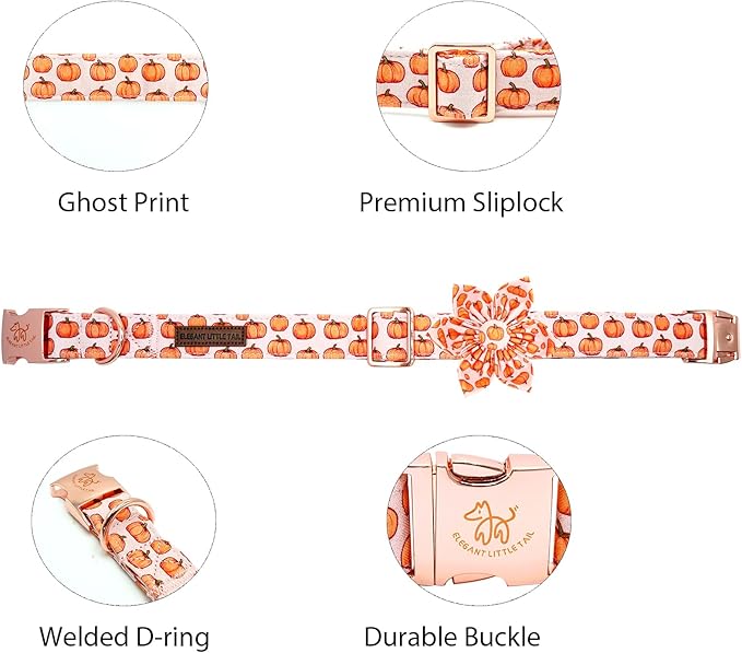 Elegant little tail Halloween Dog Collar