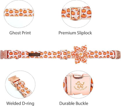Elegant little tail Halloween Dog Collar