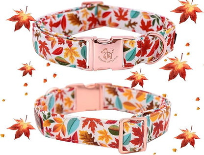Elegant little tail Flower Dog Collar for Female or Male Dogs