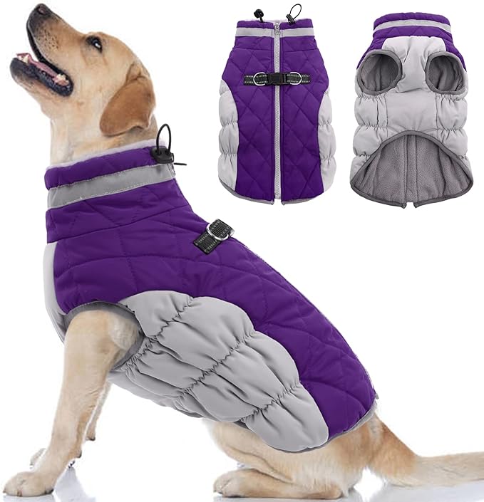 Dog Coat