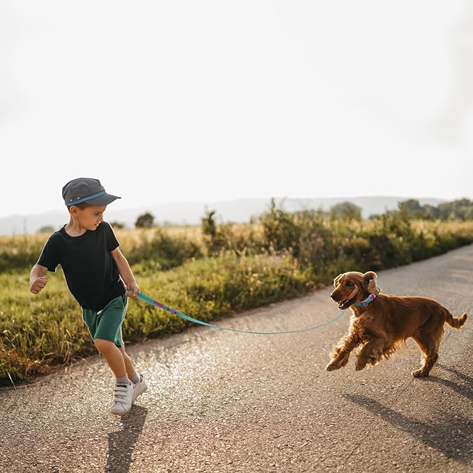 Waterproof Dog Leash Carabiner Leash for Dogs Soft 5ft*15mm*2.0mm Viridian