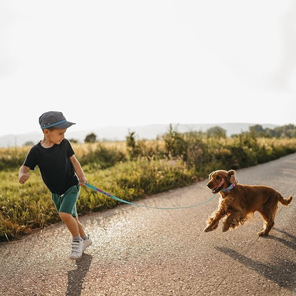 Waterproof Dog Leash Carabiner Leash for Dogs Soft 5ft*15mm*2.0mm Viridian