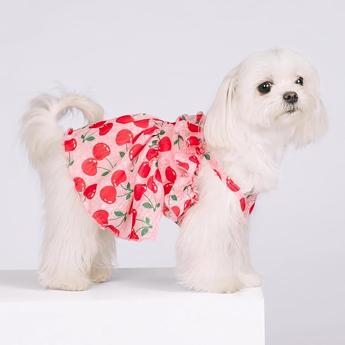 Fitwarm Cherry Dog Dress