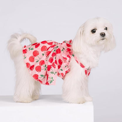 Fitwarm Cherry Dog Dress