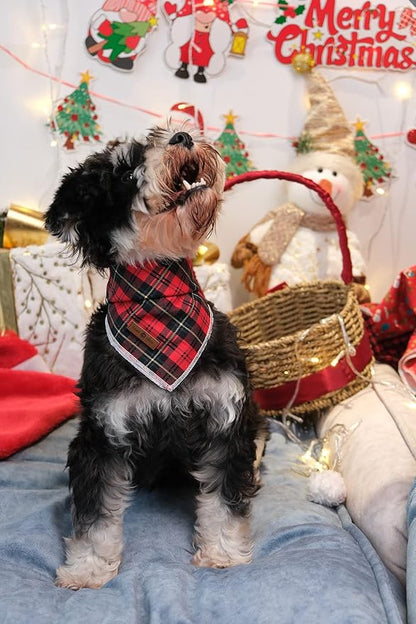 Lionet Paws Christmas Dog Bandana Washable Cotton Handkerchief