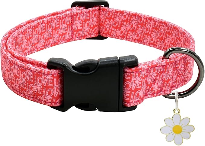Flower Patterns Dog Collar with Accessories