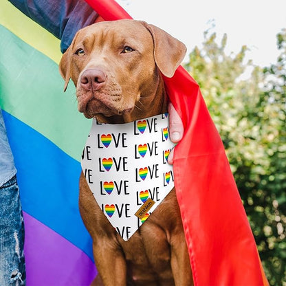 Rainbow Dog Bandanas 2 Pack