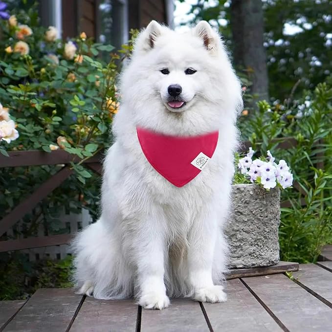 E-Clover Dog Bandanas & Matching Scrunchie-Solid Color Dog