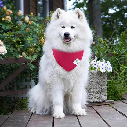 E-Clover Dog Bandanas & Matching Scrunchie-Solid Color Dog