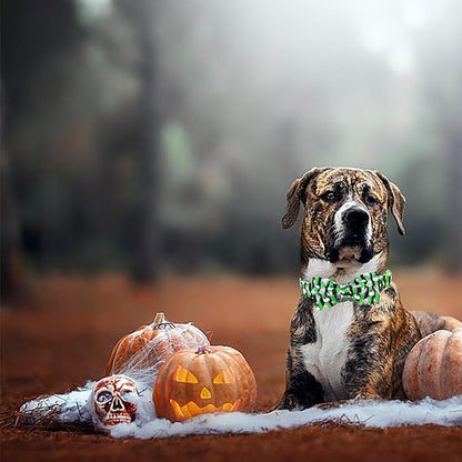 Elegant little tail Fall Dog Collar