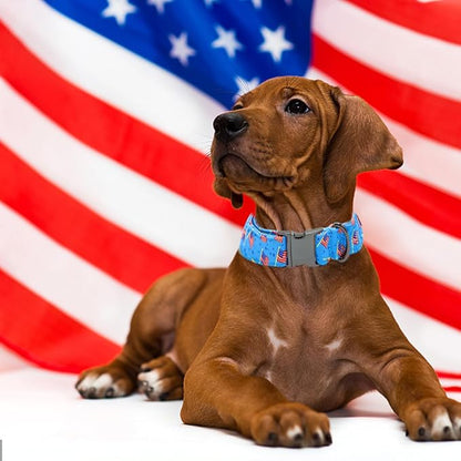 Independence Day Dog Collar, Pet Collar Summer Dog Collar Durable Metal Pet Collar Dog Girl Boy Dog Collars Adjustable Dog Collar for Small Medium Large Dogs