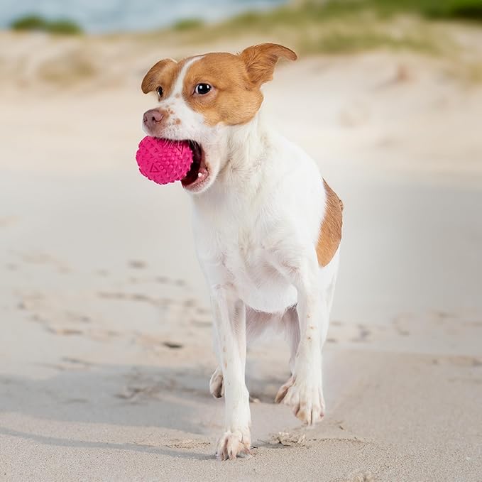 Best Pet Supplies Squeaky Rubber Toy for Dogs Durable Non-Toxic Perfect for Aggressive Chewers Spiked for Dental Health Interactive Dog Toy - Rubber Dog Toy - Pack of 2 - Fuchsia, Green (L = 3.5")