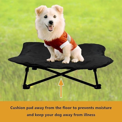 Elevated Dog Bed (28x28x8inch)