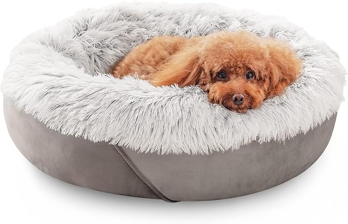 JOEJOY Small Dog Bed & Cat Bed (20", Grey)