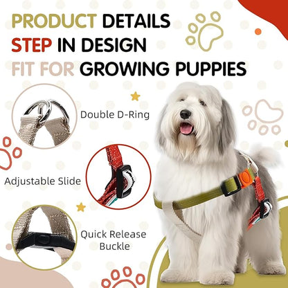 Tri-Color Dog Harness