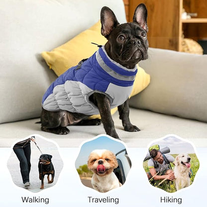 Dog Coat