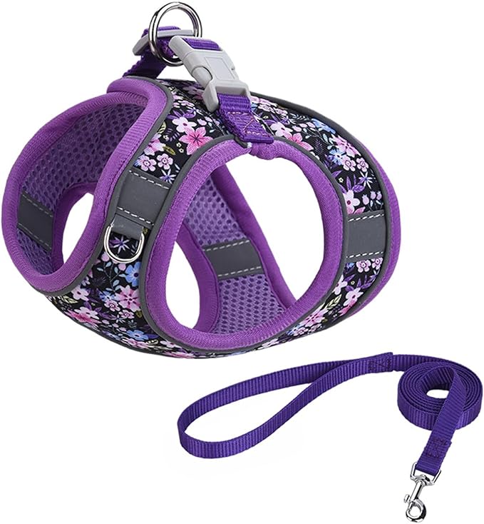 Step in Dog Harness No Pull Flower Adjustable Soft Mesh Padded Reflective Velcro Pet Vest Harness and Leash Set for Small Medium Dogs