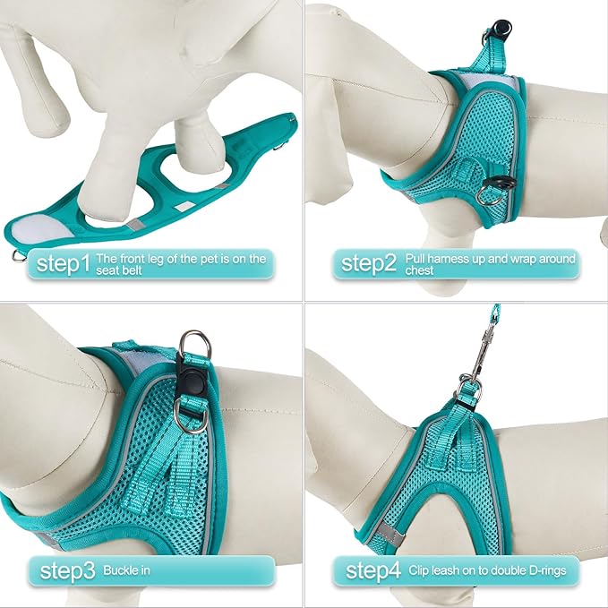 YIMEIS Dog Harness and Leash Set 1)