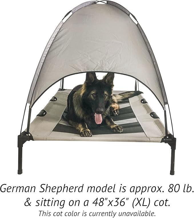 Midlee Green Dog Cot with Canopy (36" x 48")