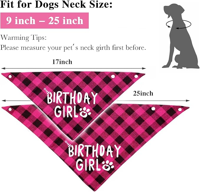 Birthday Plaid Dog Bandana with Button