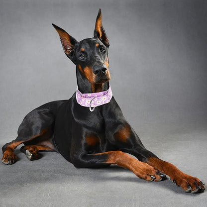 Martingale Collar 1.5 Inches Wide Girl Dog Collar