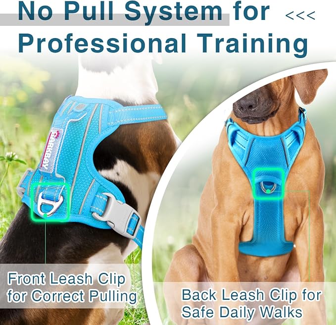 BARKBAY Dog Harness No Pull with ID Tag Pocket - Heavy Duty, Reflective, Easy Control for Large Dogs (Blue,L)