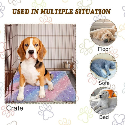 Cat Dog Bed Mat & Blanket