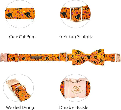 Elegant little tail Fall Dog Collar