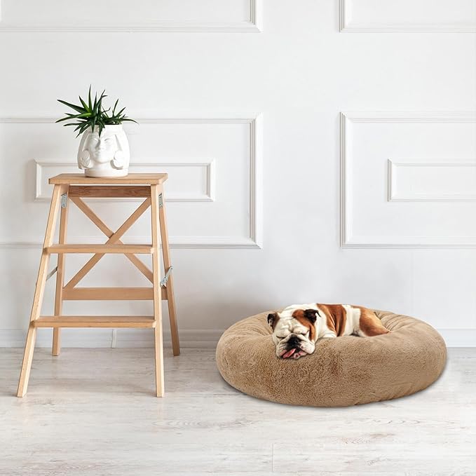 Dog Bed for Small Medium Dogs 24 inch