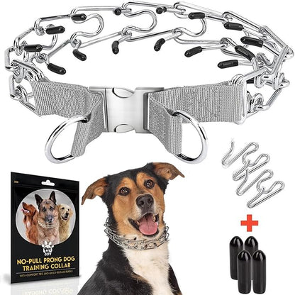 Prong Collar for Dogs