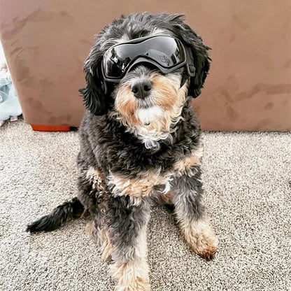 NAMSAN Dog Sunglasses Medium Breed UV Protection Pug Dog Goggles for Small to Medium Dogs Windproof Anti-fog Snowproof Puppy Glasses