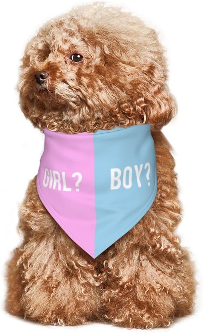 He Or She What Will It Be? Gender Reveal/Baby Announcement Dog Bandana,Pet Neckerchief for Pets Daily Wear Photo Prop Party Supplies (Pink/Blue-1)
