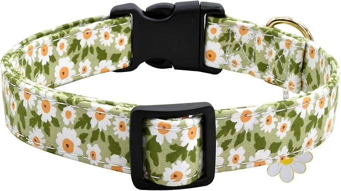 Flower Patterns Dog Collar with Accessories