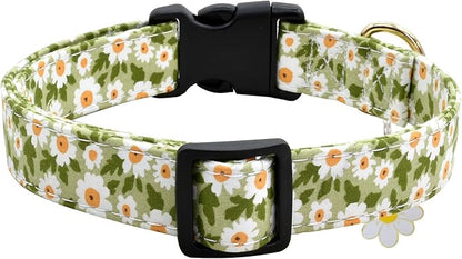 Flower Patterns Dog Collar with Accessories