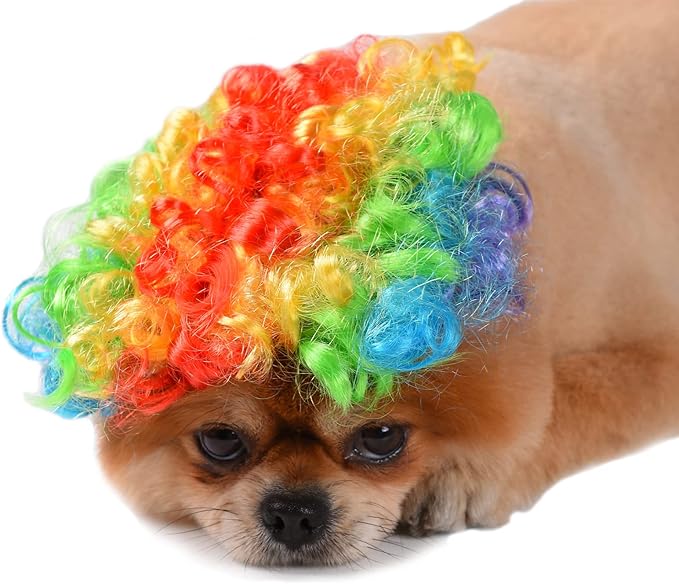 Funny Dog Cat Cosplay Wig, Headwear Apparel Toy, Pet Costumes, Cat Dress up for Halloween, Christmas, Parties, Festivals, Dog Wigs for Small Medium and Large Dogs (Colorful Clown Hair)