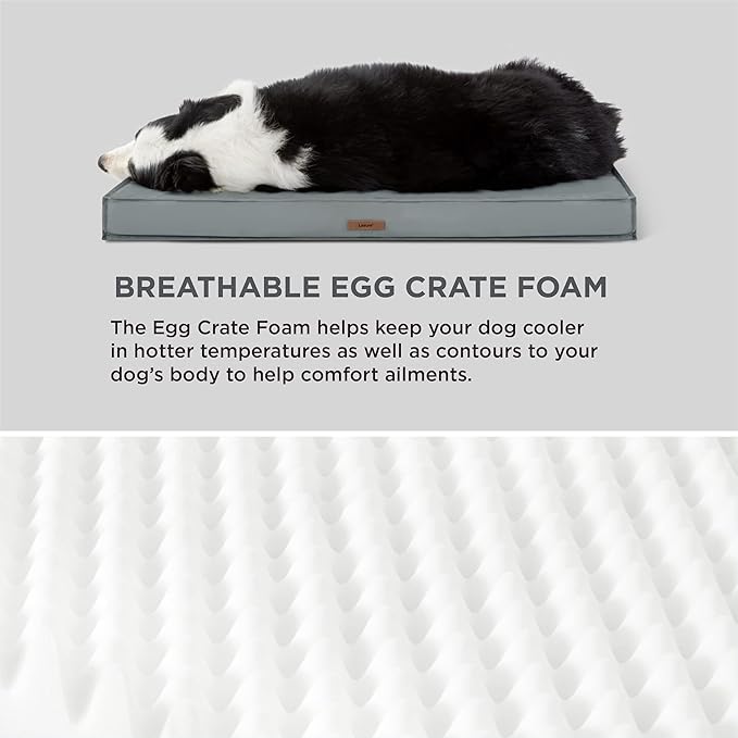 Lesure XL Waterproof Dog Beds