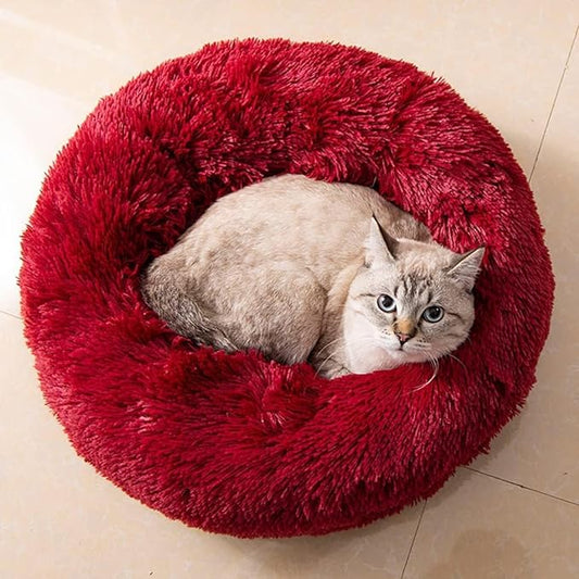 Cat Beds for Indoor Cats 24 inches,