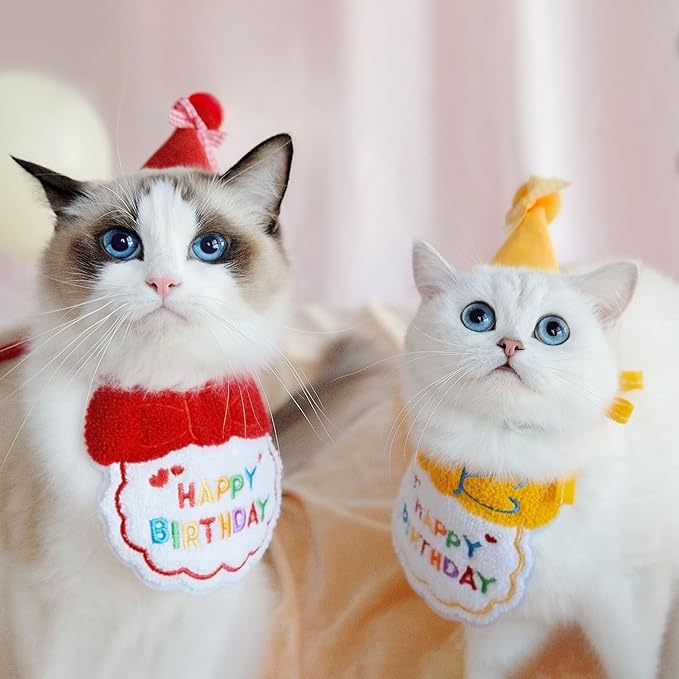 Dog Cat Birthday Party Supplies Outfit Bandana Bib